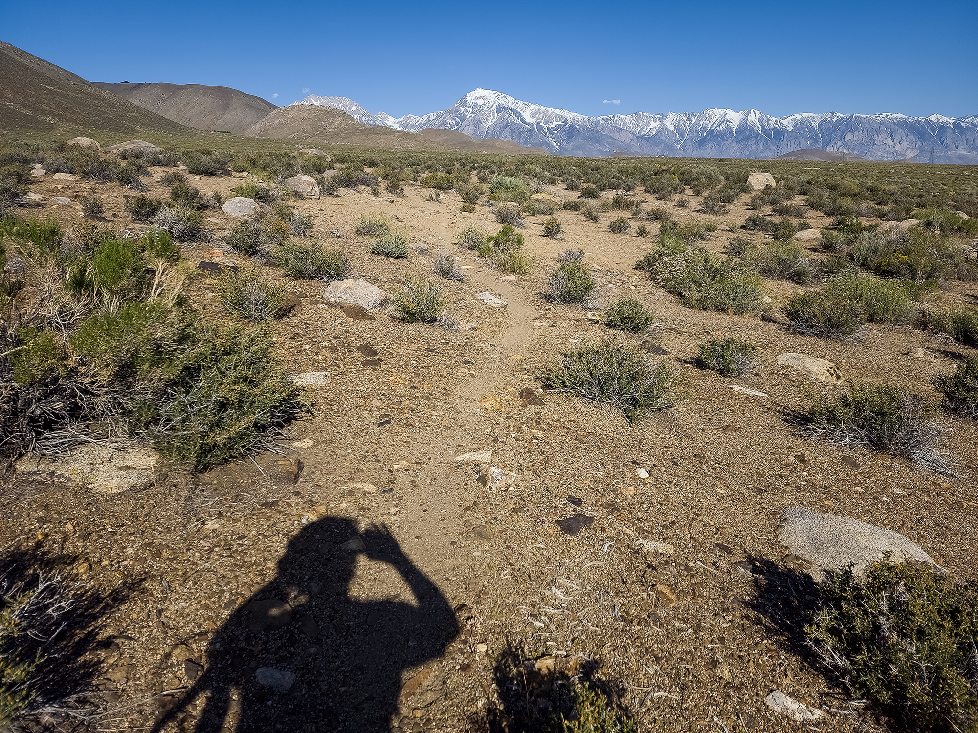 Mountain Biking in the West Bishop Foothills