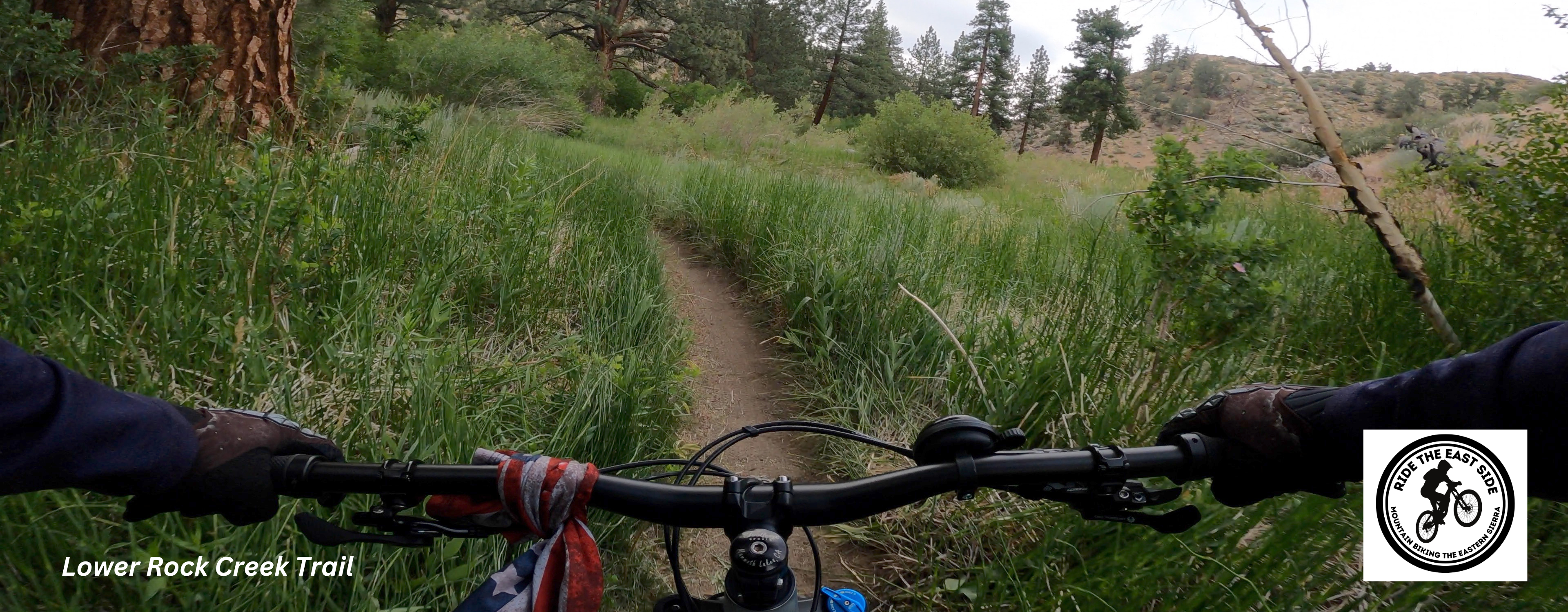 Lower Rock Creek - Header - Eastern Sierra Mountain Biking
