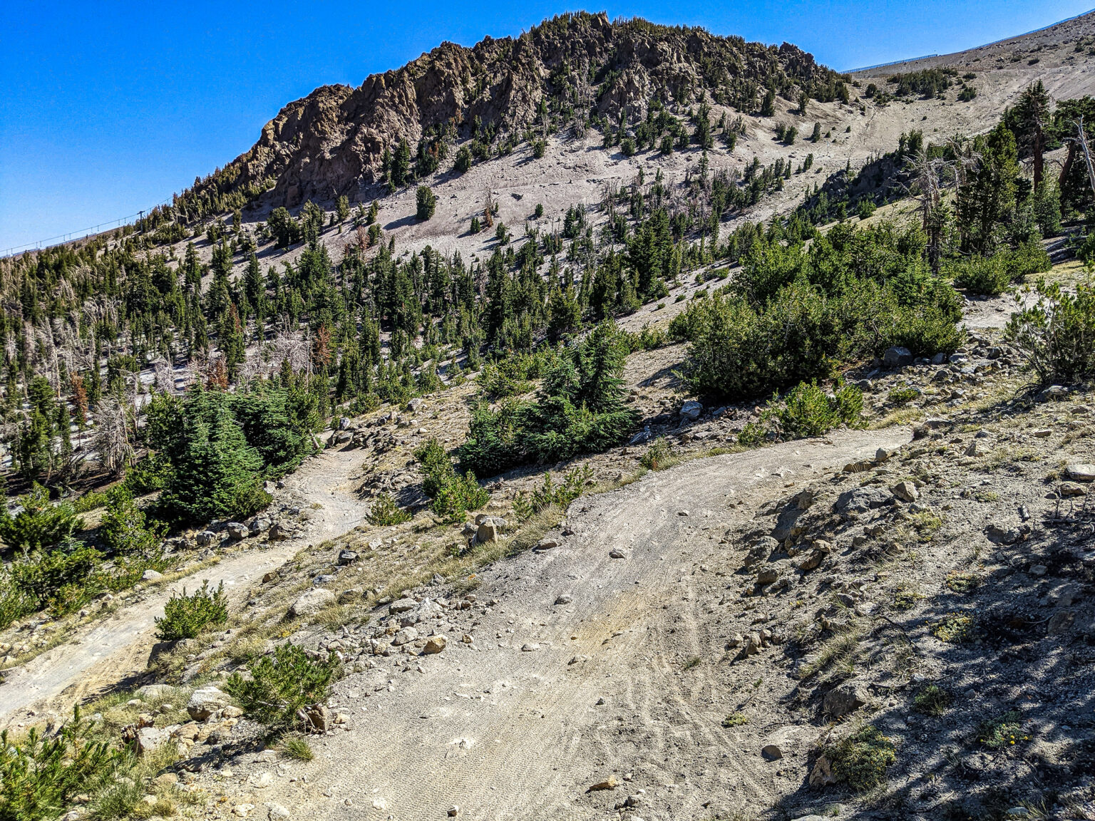 Off the Top Views at Mammoth Mountain Bike Park