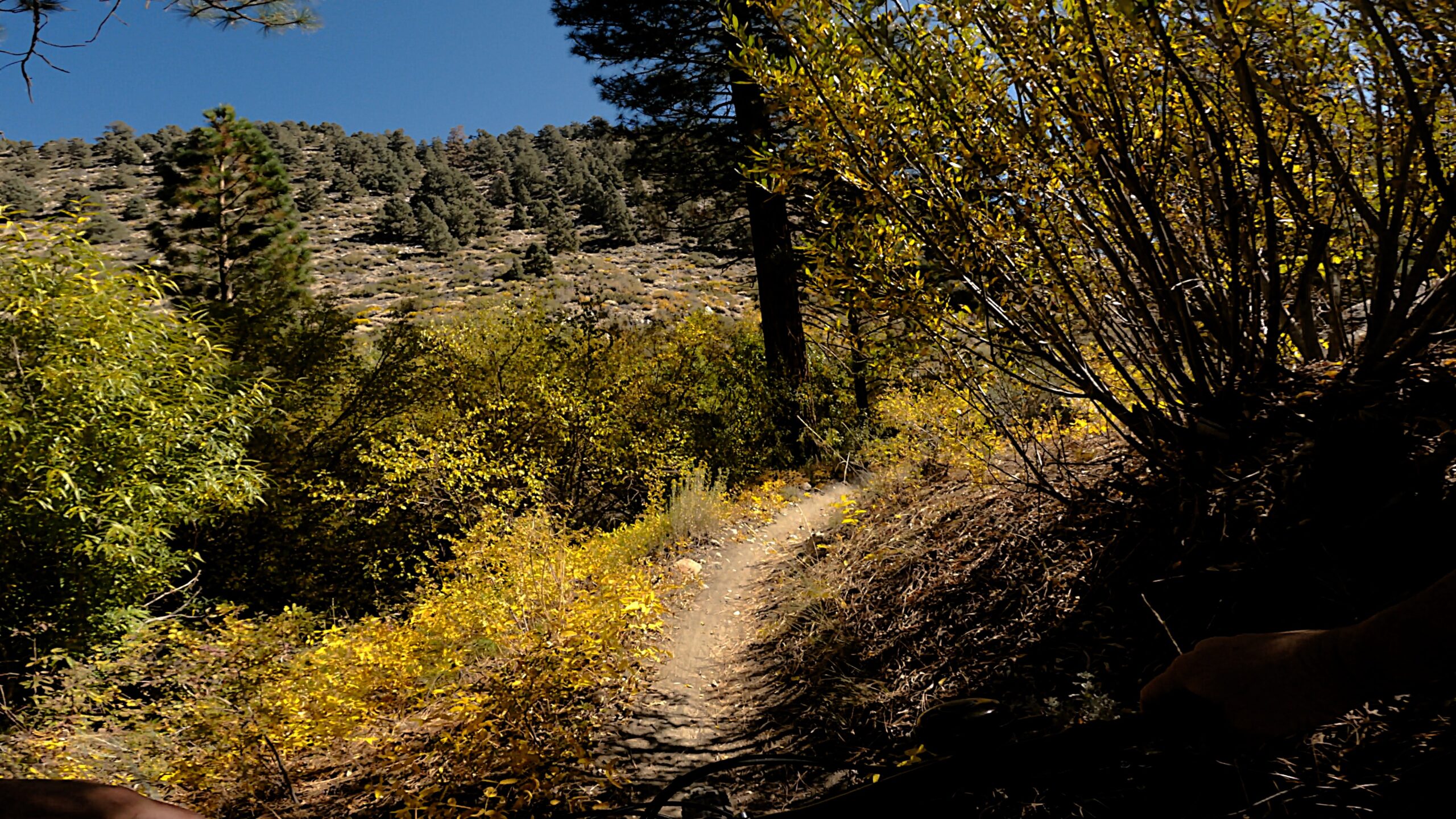 Lower Rock Creek Canyon Trail Fall 2023