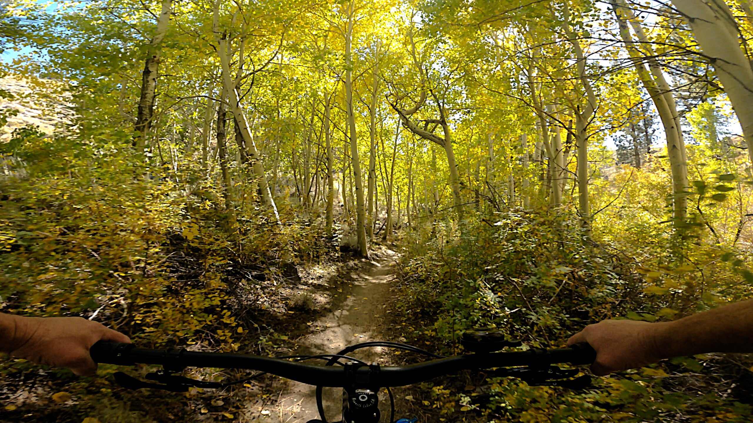 Lower Rock Creek Canyon Trail Fall 2023