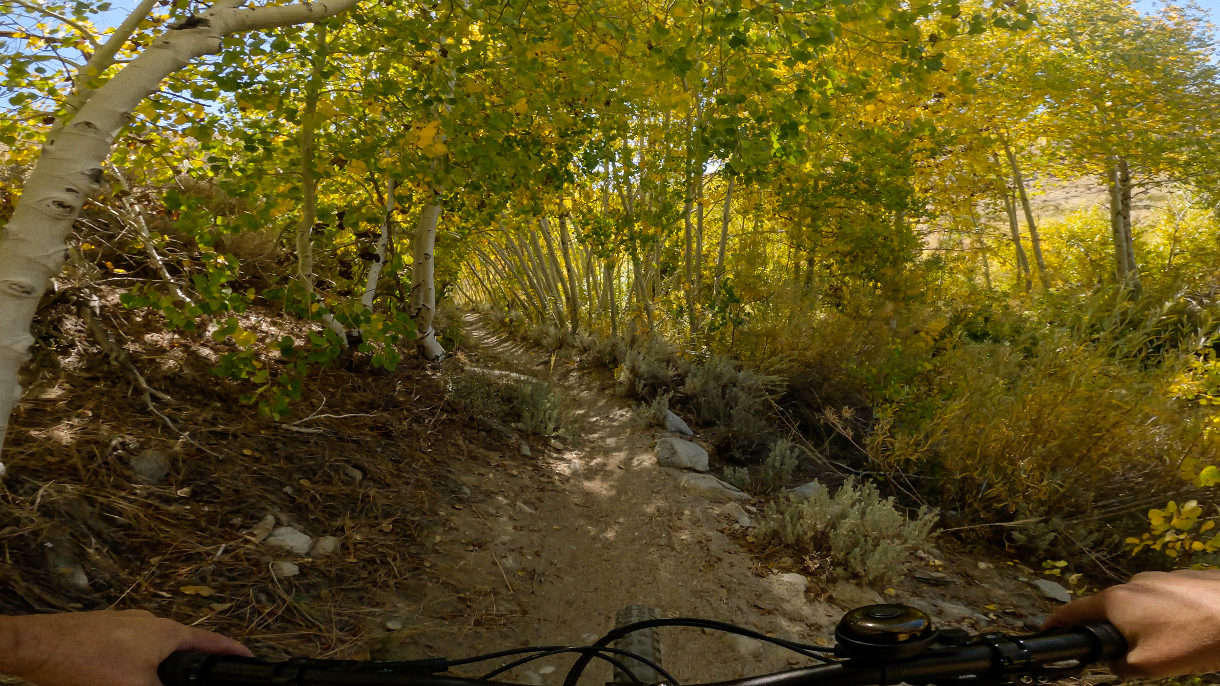 Riding through the Fall Colors on Lower Rock Creek