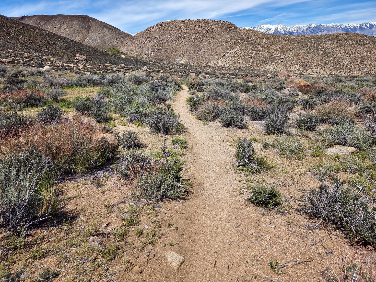Old Cow Trail in Upper Chipmunk Canyon